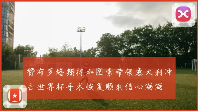 赞布罗塔期待加图索带领意大利冲击世界杯手术恢复顺利信心满满